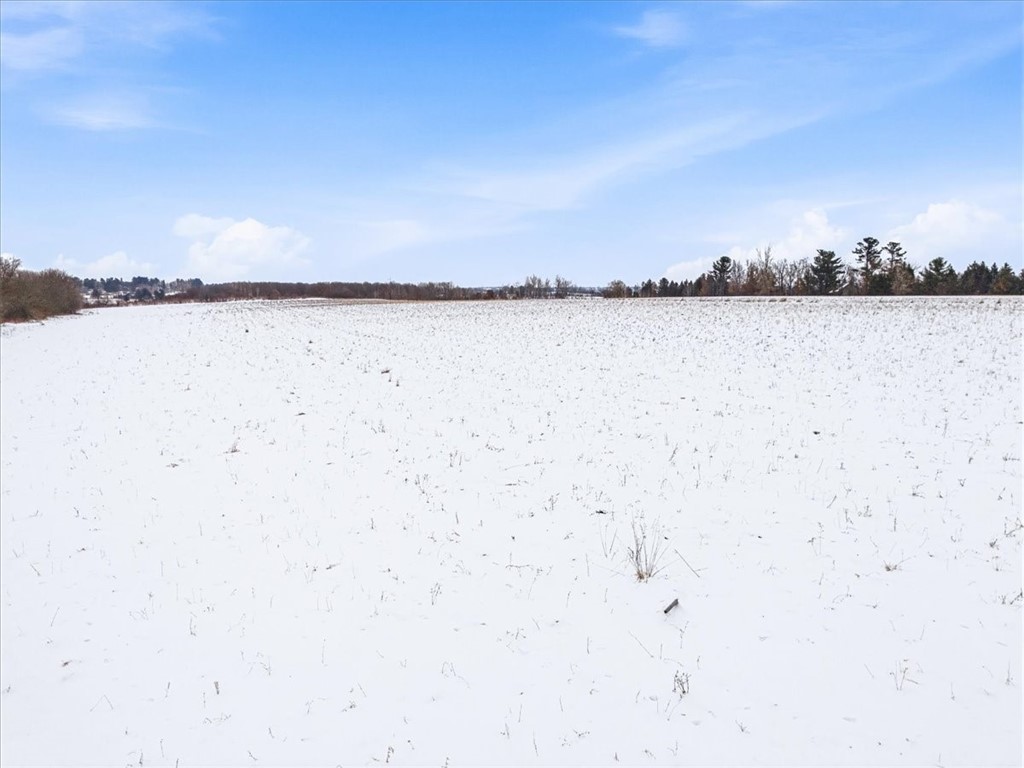 xxx 170th Street Hammond WI 54015 1598338 image9