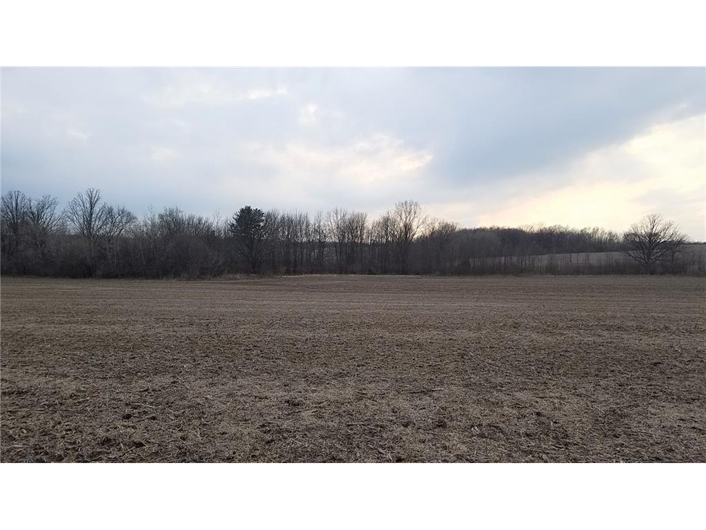 xxx 290th St., Wilson, WI, 54027 MLS 1553524 Edina Realty