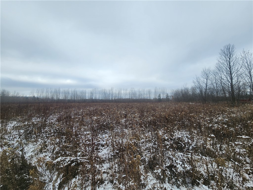 xxx 650th Street River Falls WI 54022 1587620 image1