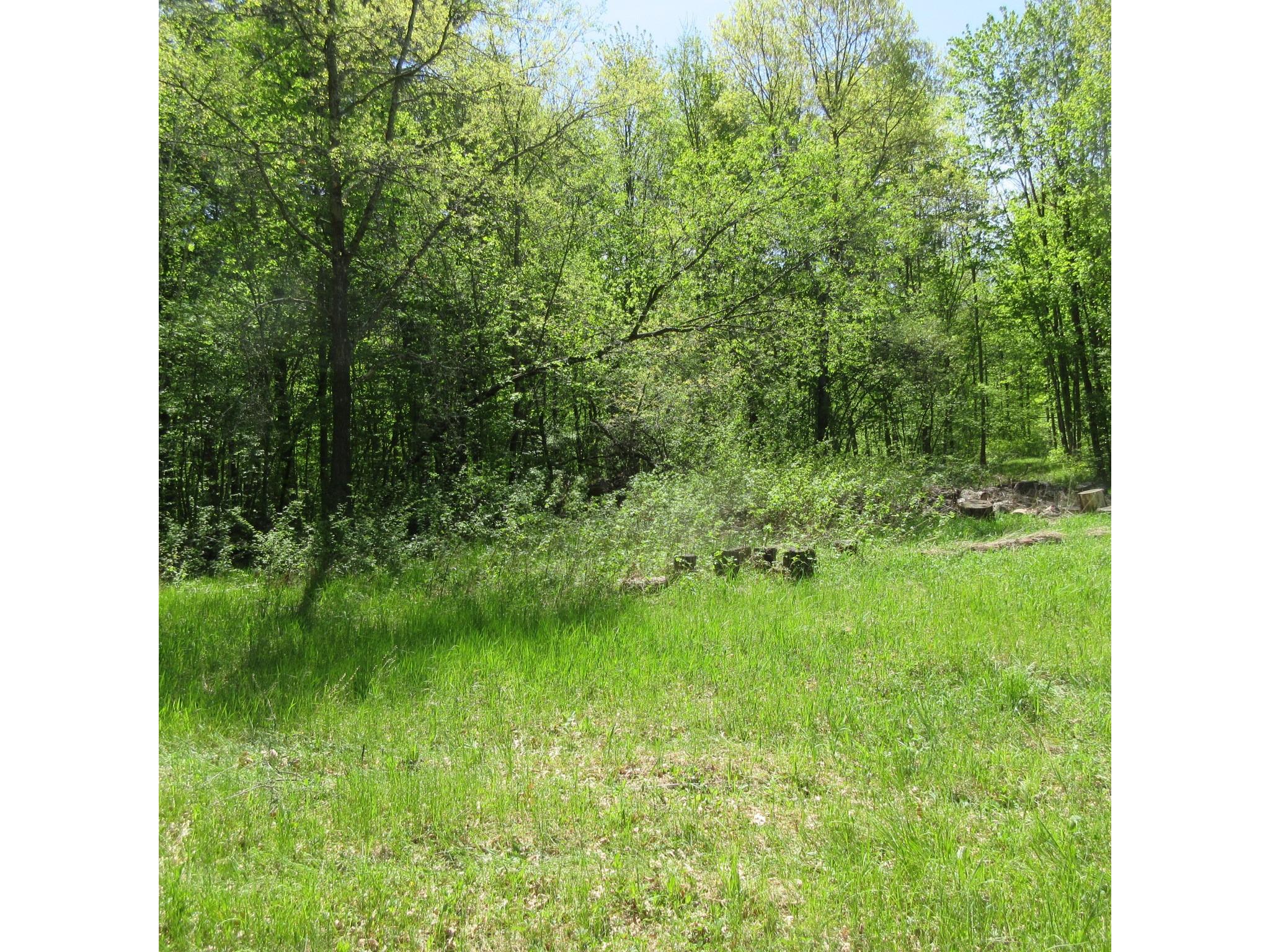 xxx 810th Avenue Boyceville WI 54751 1601282 image6