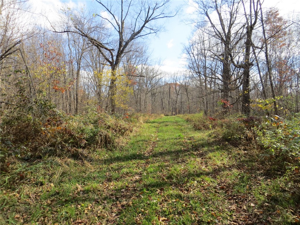 xxx Castle Oaks Ln Thorp WI 54771 - unnamed creek 1596814 image1