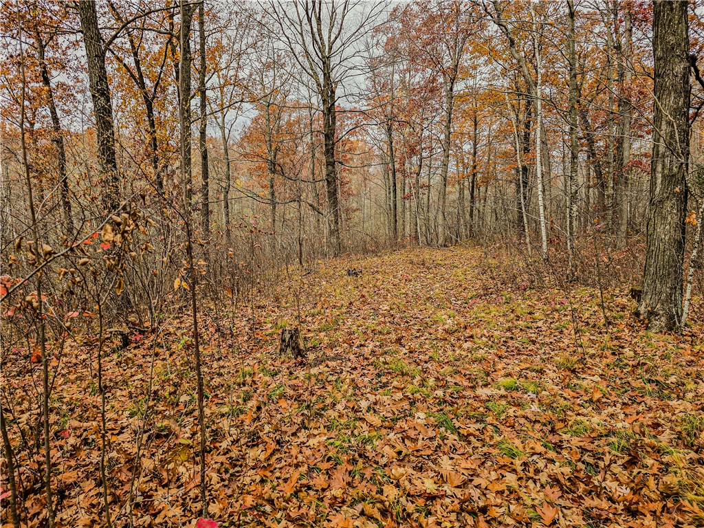 xxx County Road D Cornell WI 54732 1596710 image10