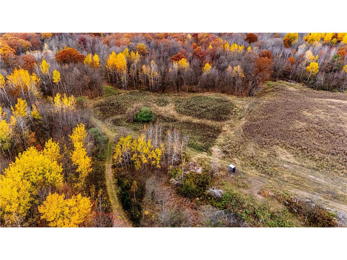 xxx County Road D Cornell WI 54732 1596710 image11