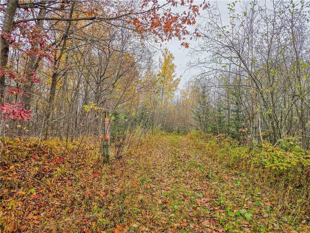 xxx County Road D Cornell WI 54732 1596710 image12