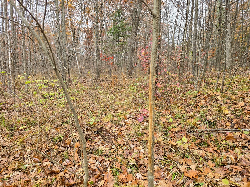 xxx County Road D Cornell WI 54732 1596710 image13