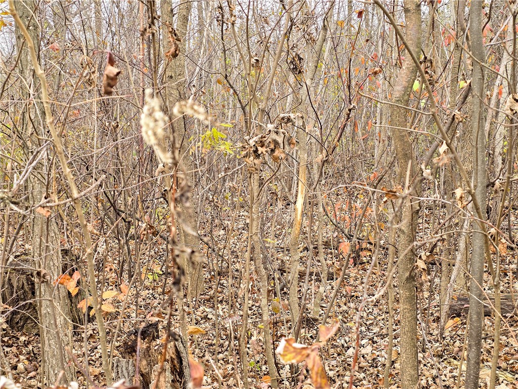 xxx County Road D Cornell WI 54732 1596710 image14