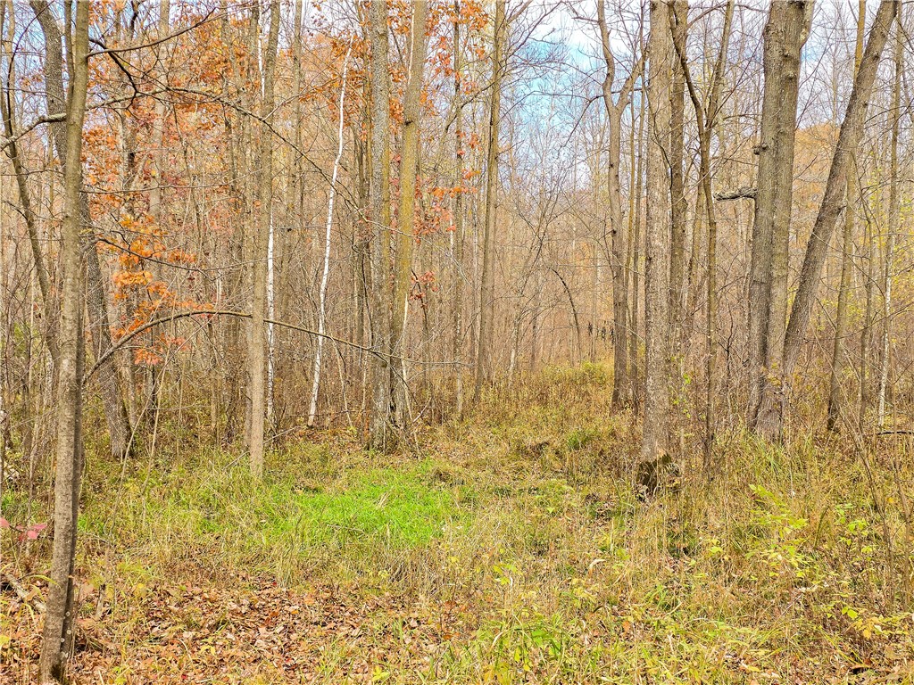 xxx County Road D Cornell WI 54732 1596710 image15