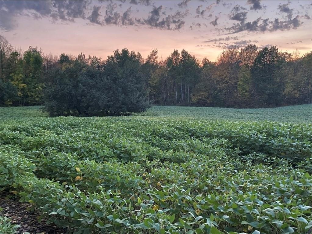 xxx County Road D Cornell WI 54732 1596710 image2