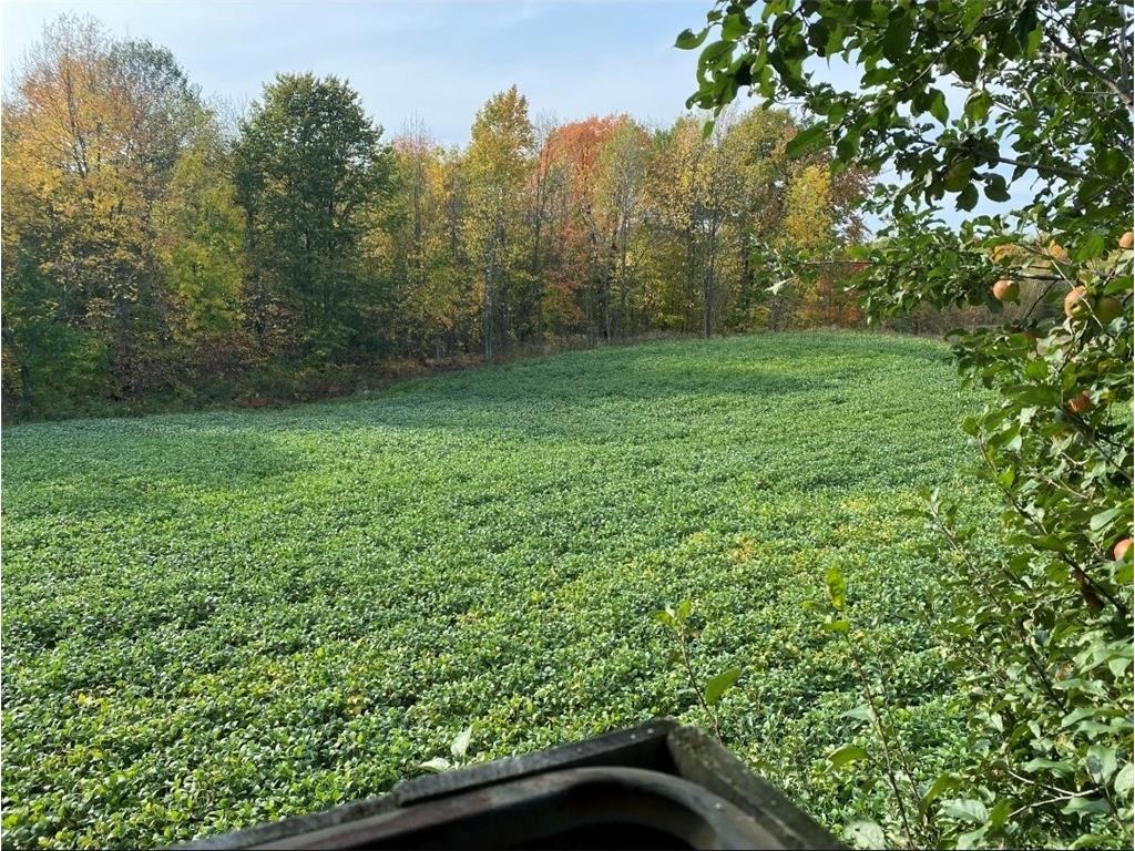 xxx County Road D Cornell WI 54732 1596710 image3