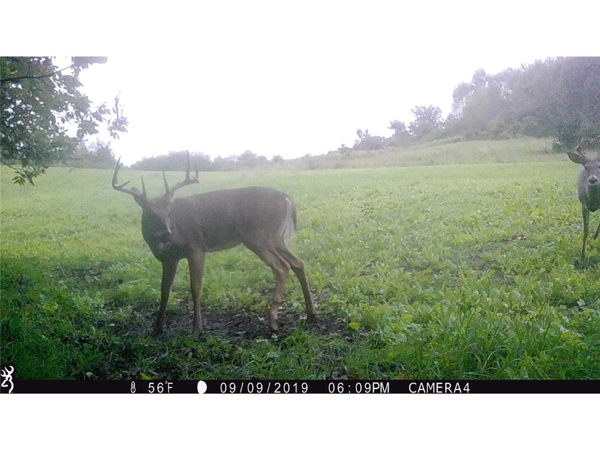 xxx County Road D Cornell WI 54732 1596710 image6