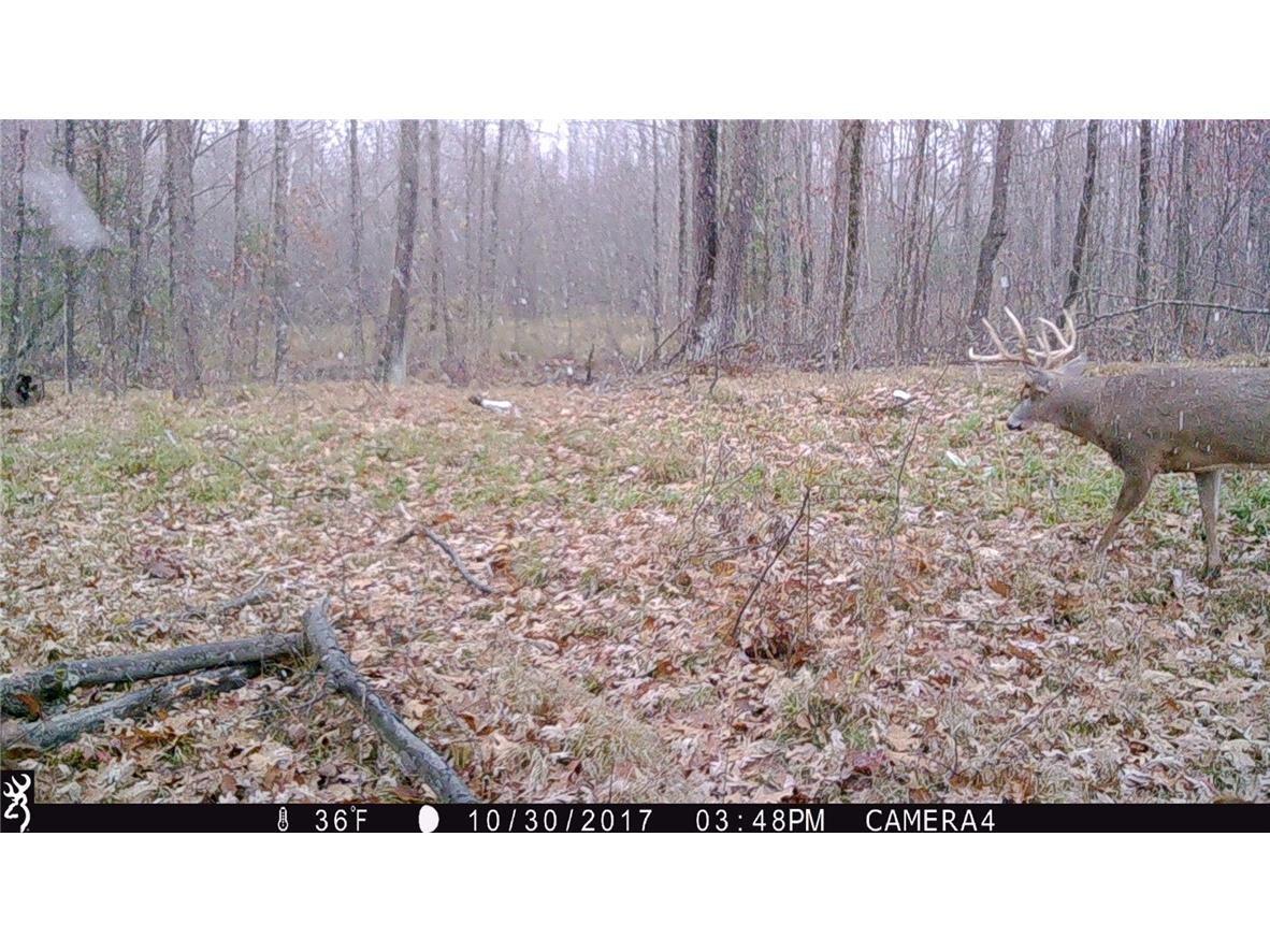 xxx County Road D Cornell WI 54732 1596710 image7