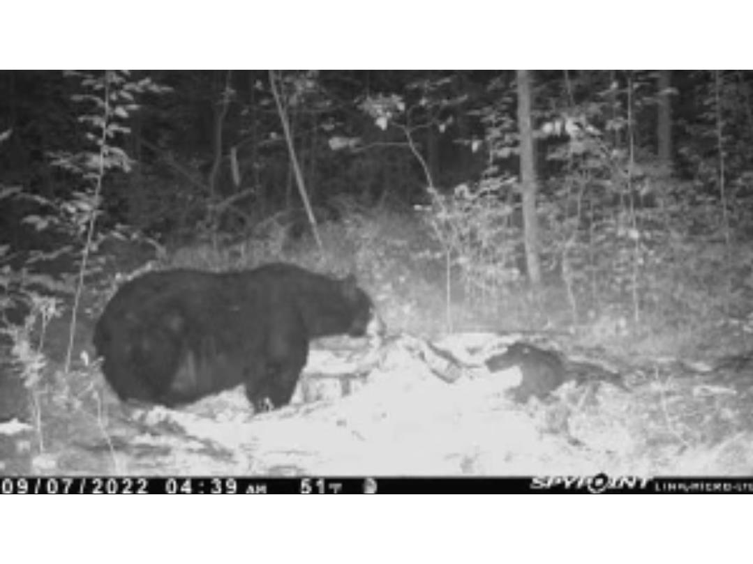 xxx County Road D Cornell WI 54732 1596710 image8