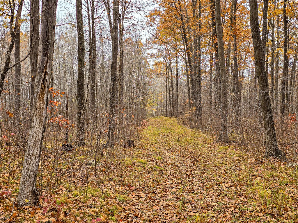 xxx County Road D Cornell WI 54732 1596710 image9