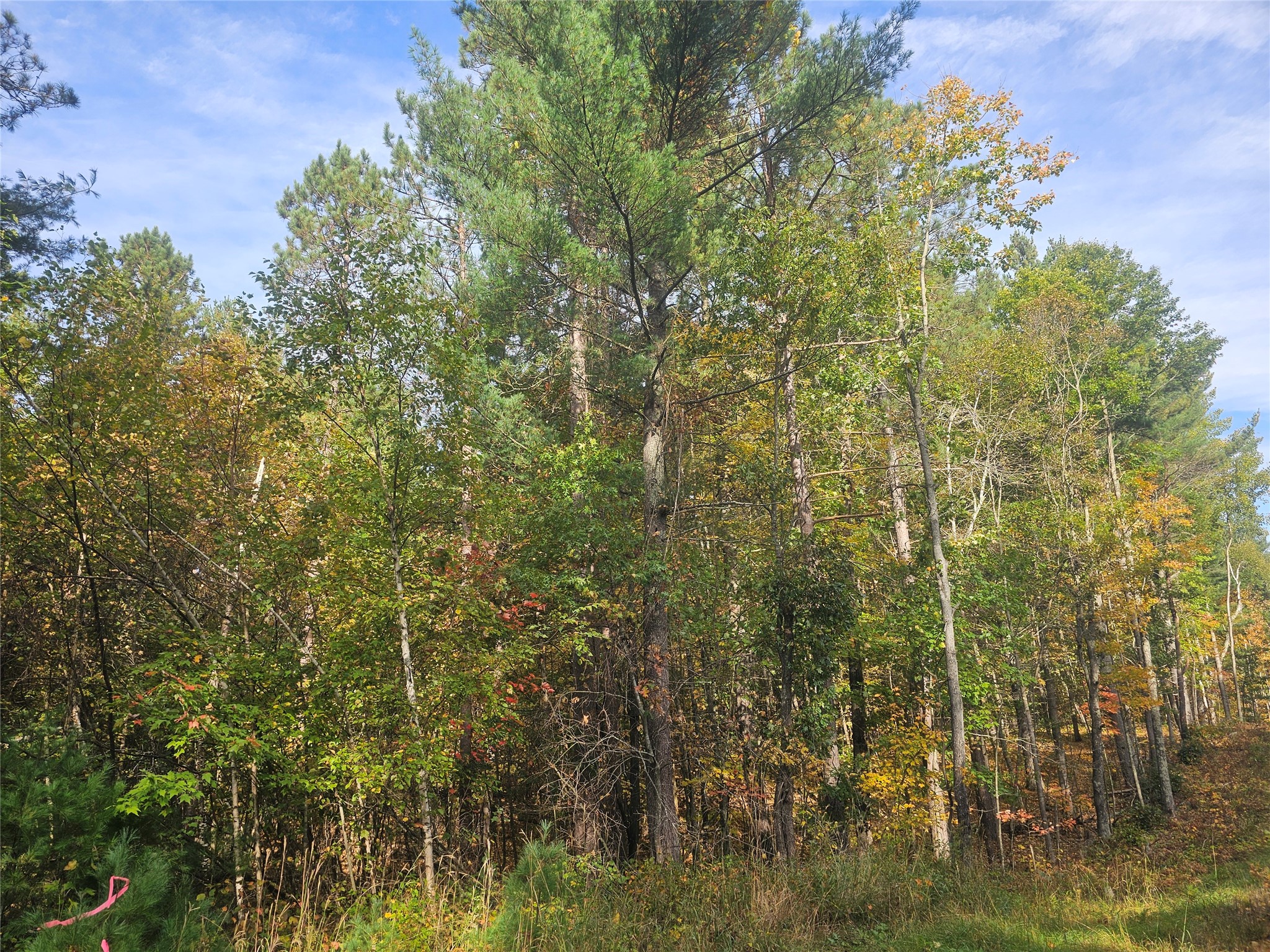 xxx County Road H Danbury WI 54830 1600068 image10
