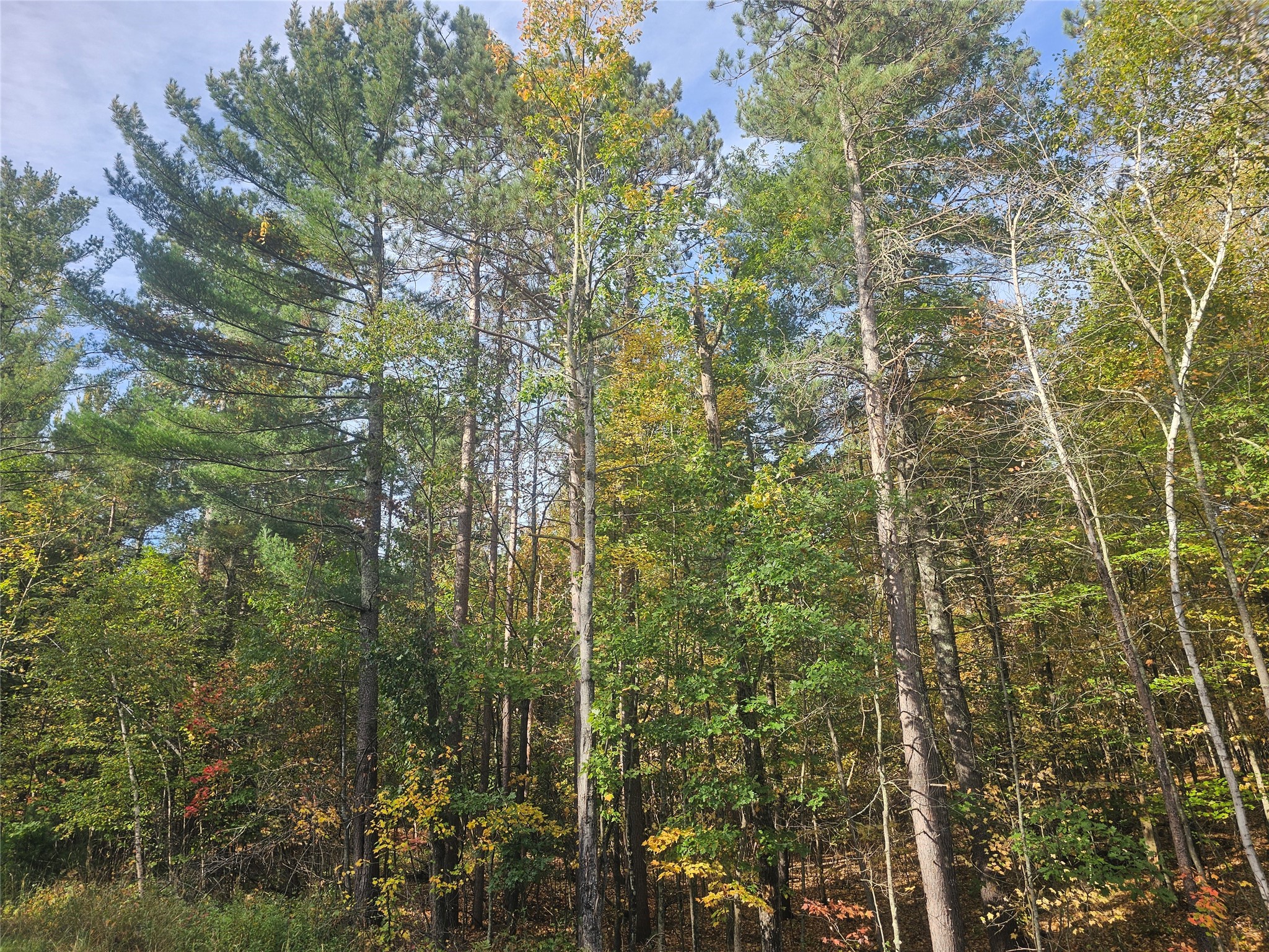 xxx County Road H Danbury WI 54830 1600068 image4
