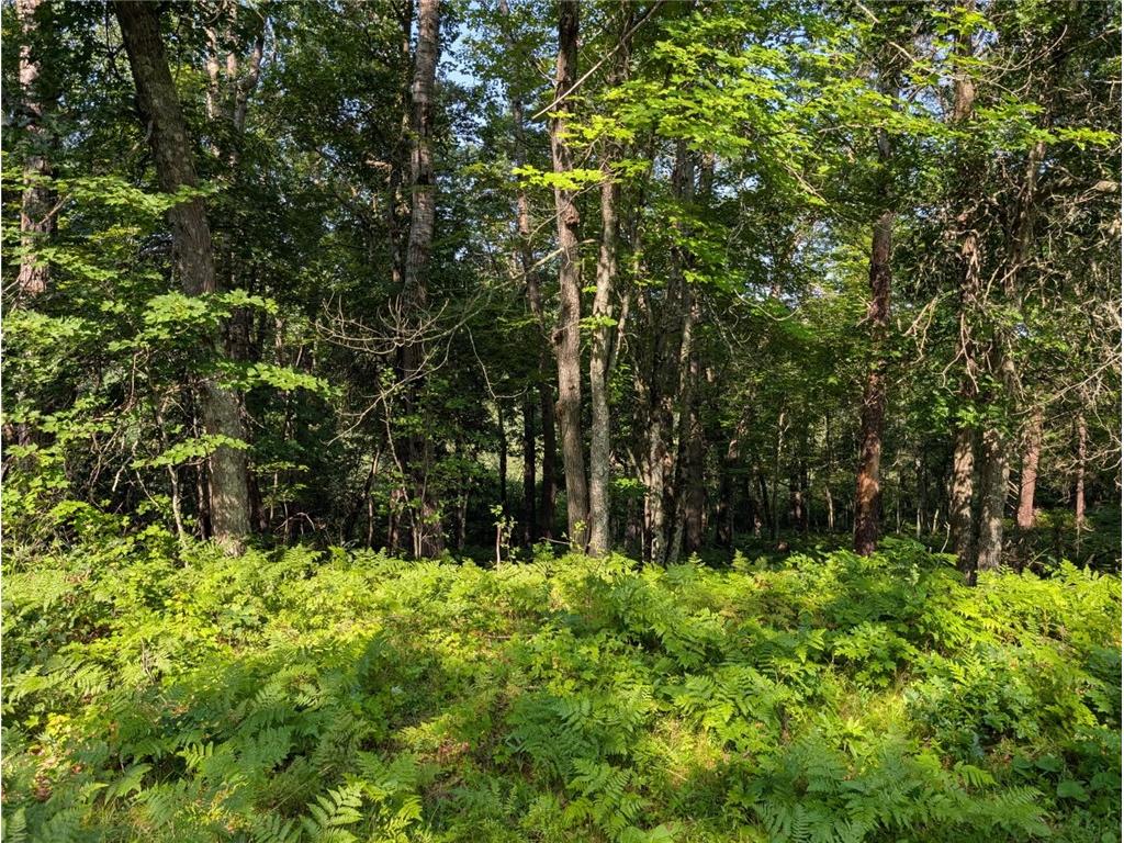 xxx Dock Lake Road Rusk WI 54801 1593511 image1