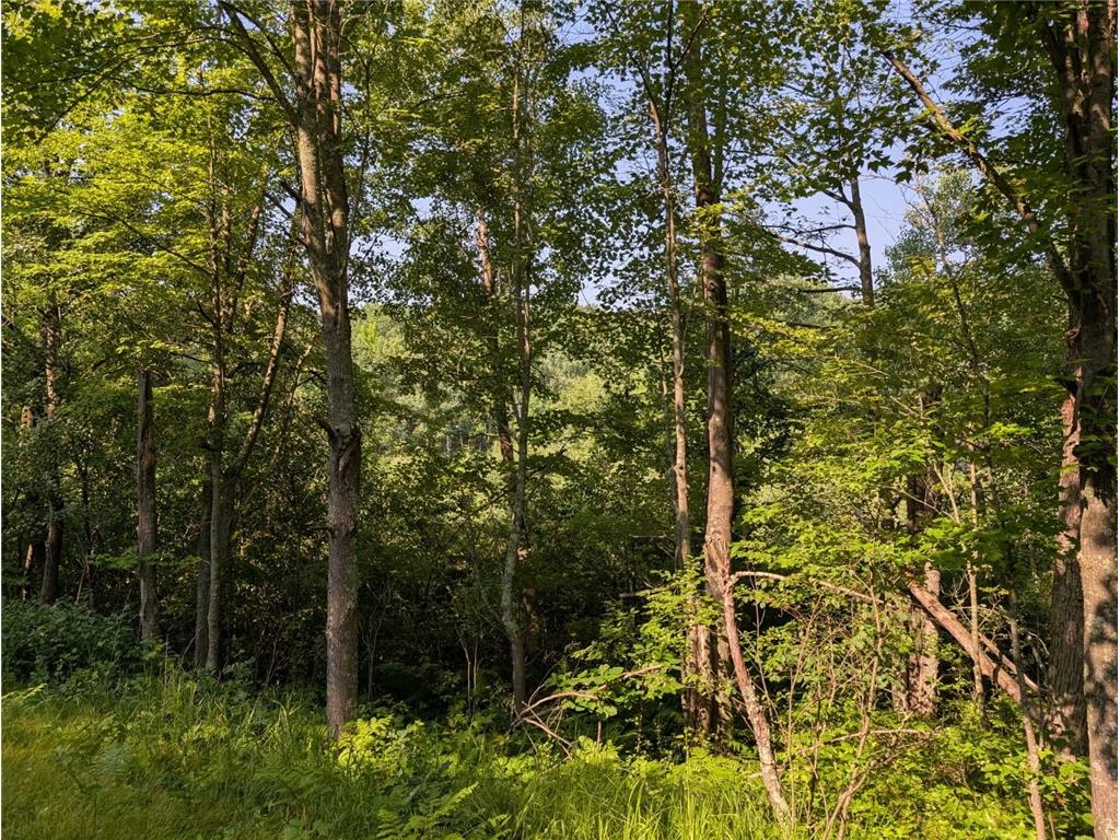 xxx Dock Lake Road Rusk WI 54801 1593511 image2