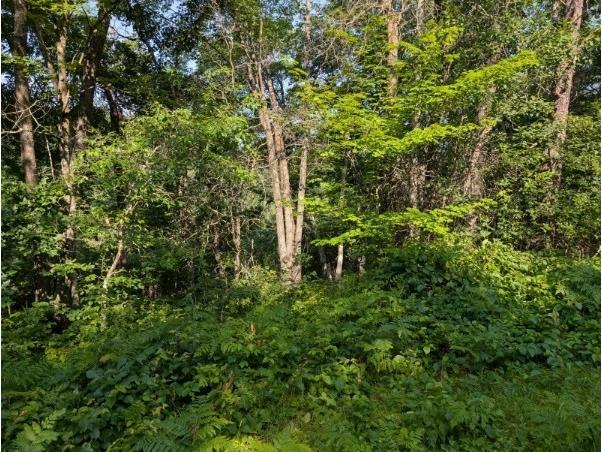 xxx Dock Lake Road Rusk WI 54801 1593511 image4