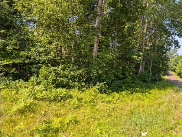 xxx Dock Lake Road Rusk WI 54801 1593511 image6