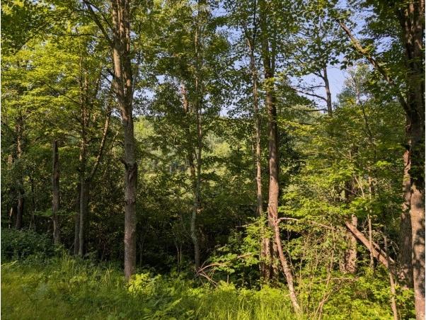 xxx Dock Lake Road Rusk WI 54801 1593511 image8