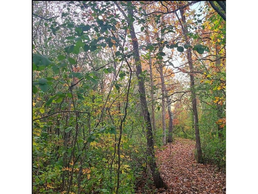 xxx Hwy 35 Highway, Luck, WI, 54853 MLS 7411586 Edina Realty