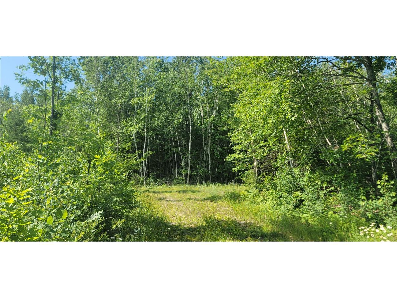 xxx Larsen Road Hayward WI 54843 1574653 image1