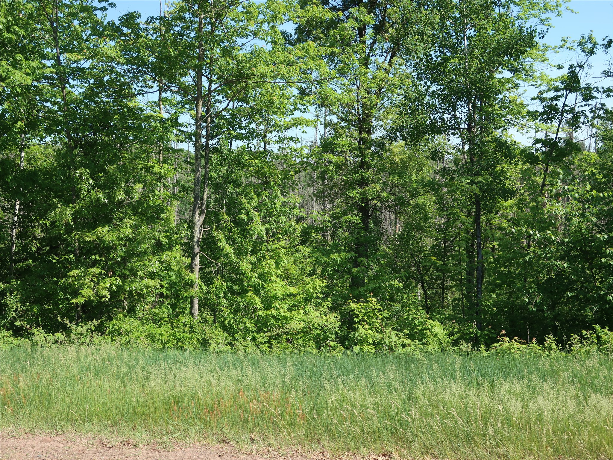 xxx N Hayden Lake Drive Danbury WI 54830 1601864 image13
