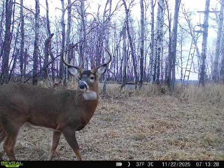 xxx Old 14 Road Weyerhaeuser WI 54895 1597659 image1