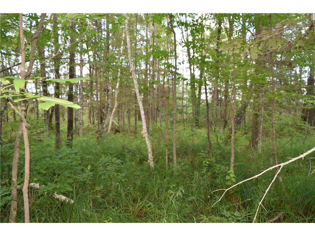 xxx Old 14 Road Weyerhaeuser WI 54895 1597659 image20
