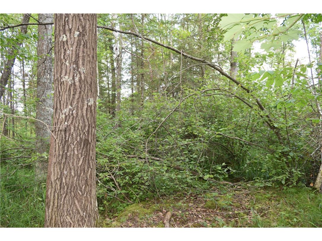 xxx Old 14 Road Weyerhaeuser WI 54895 1597659 image21