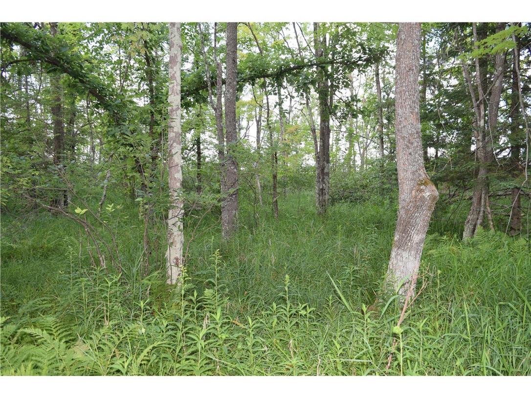 xxx Old 14 Road Weyerhaeuser WI 54895 1597659 image22