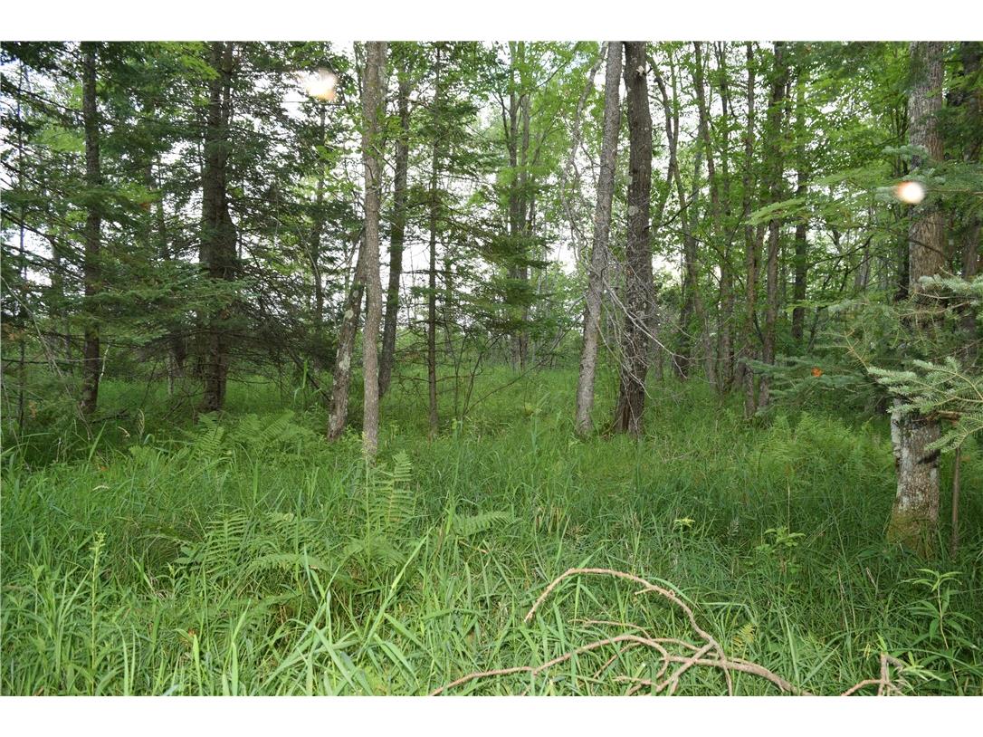 xxx Old 14 Road Weyerhaeuser WI 54895 1597659 image23