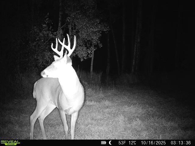 xxx Old 14 Road Weyerhaeuser WI 54895 1597659 image3