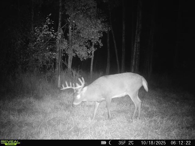 xxx Old 14 Road Weyerhaeuser WI 54895 1597659 image4