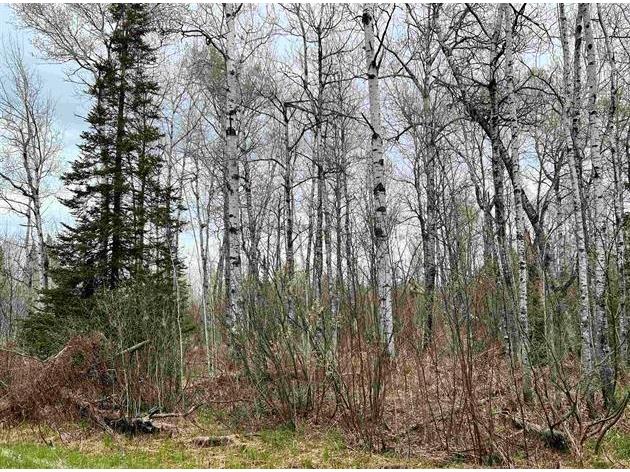 xxx Orienta Falls Rd Port Wing WI 54865 1570303 image1