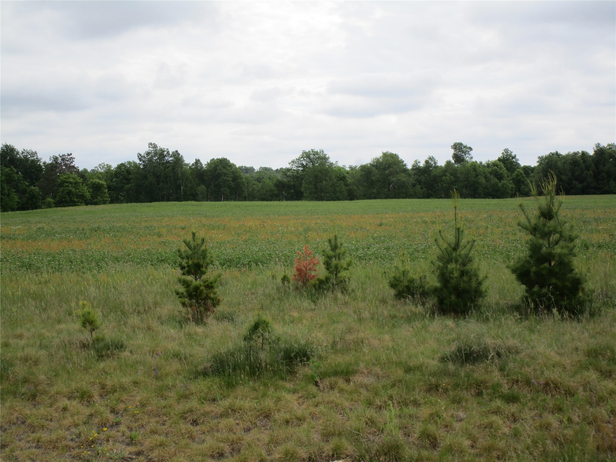 xxx River Pines Dr Ladysmith WI 54848 1601947 image2