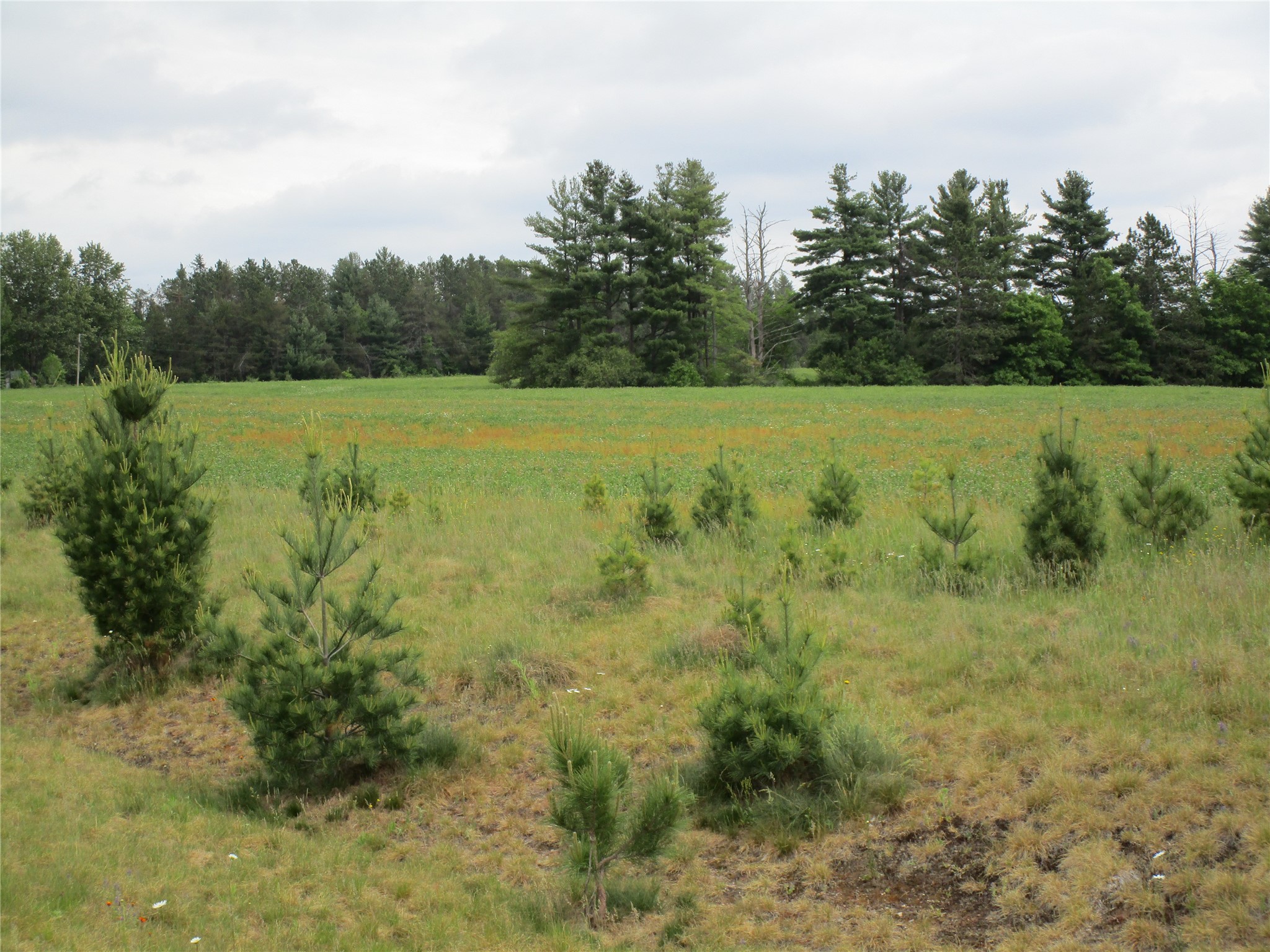 xxx River Pines Dr Ladysmith WI 54848 1601947 image5