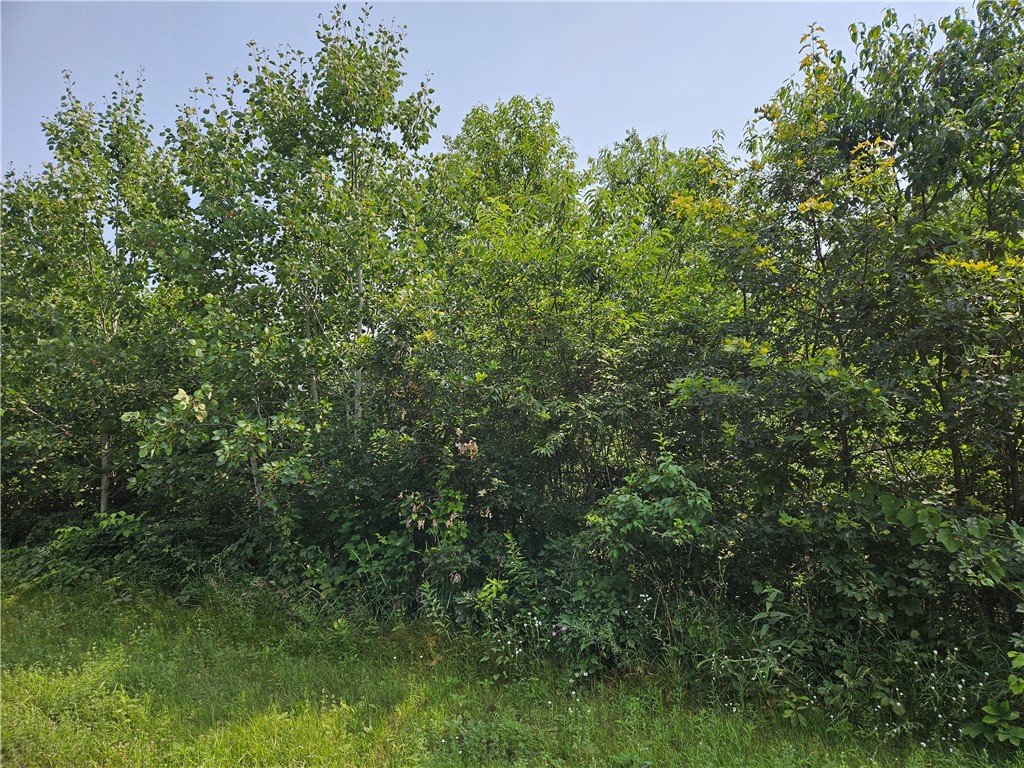 xxx Trails End Spooner WI 54801 1594507 image1