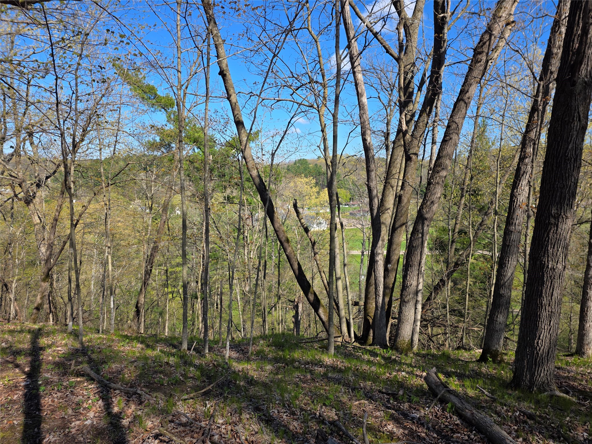 xxx Wagon Trail Rd Spring Valley WI 54767 - Eau Galle 1601796 image4