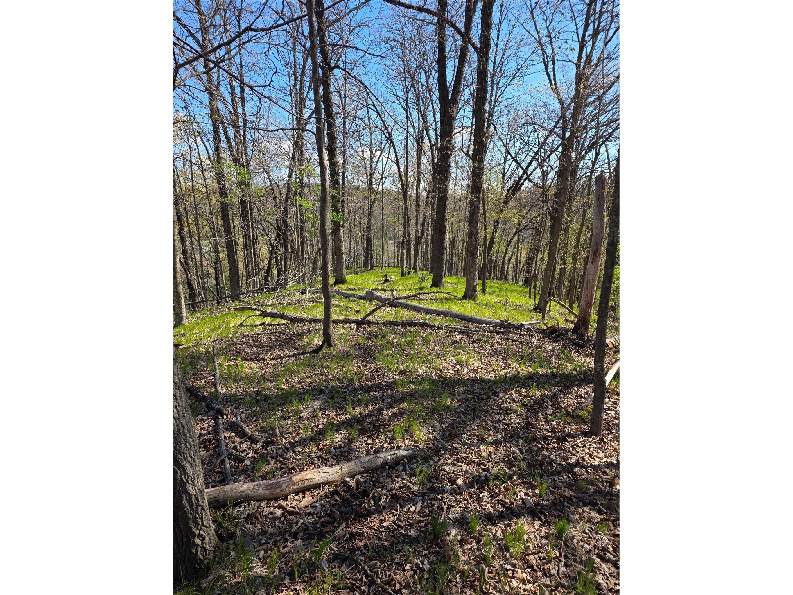 xxx Wagon Trail Rd Spring Valley WI 54767 - Eau Galle 1601796 image5
