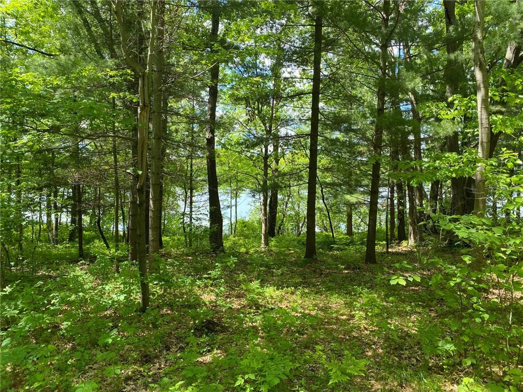 xxxx Bashaw Trailway, Shell Lake, WI 54871 MLS 1554186 Edina Realty