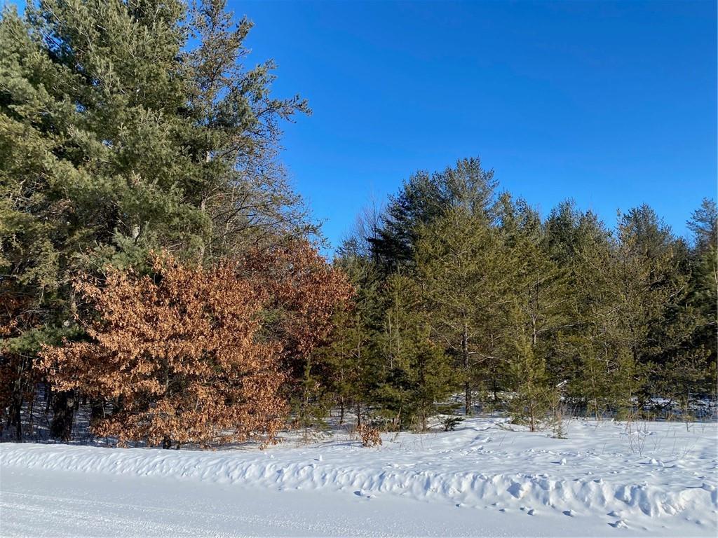 xxxx Highway 35 Siren WI 54872 1550562 image1