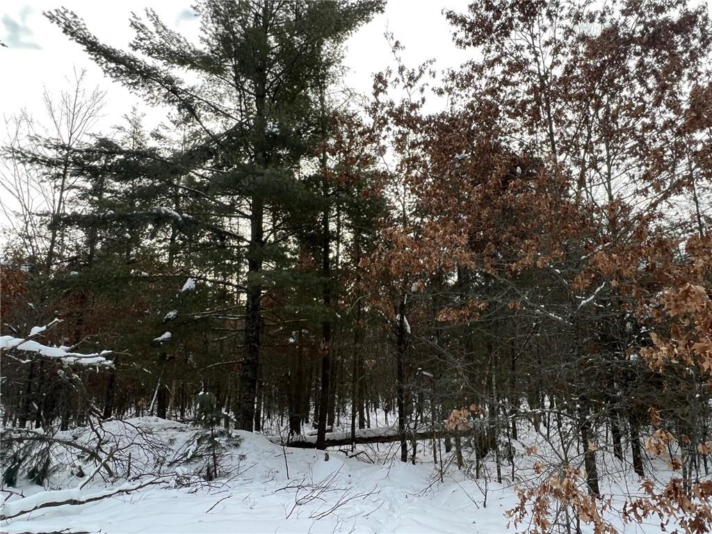 xxxxx Borg Road Grantsburg WI 54840 1570984 image1