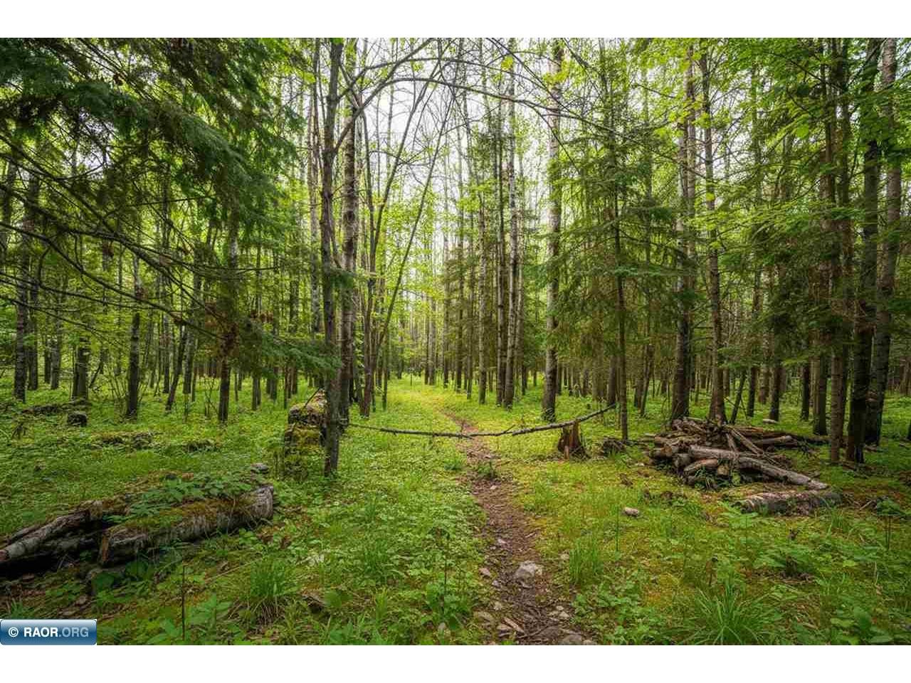 0000 Bass Lake Rd Gilbert MN 55741 - Bass Lake 149627 image23