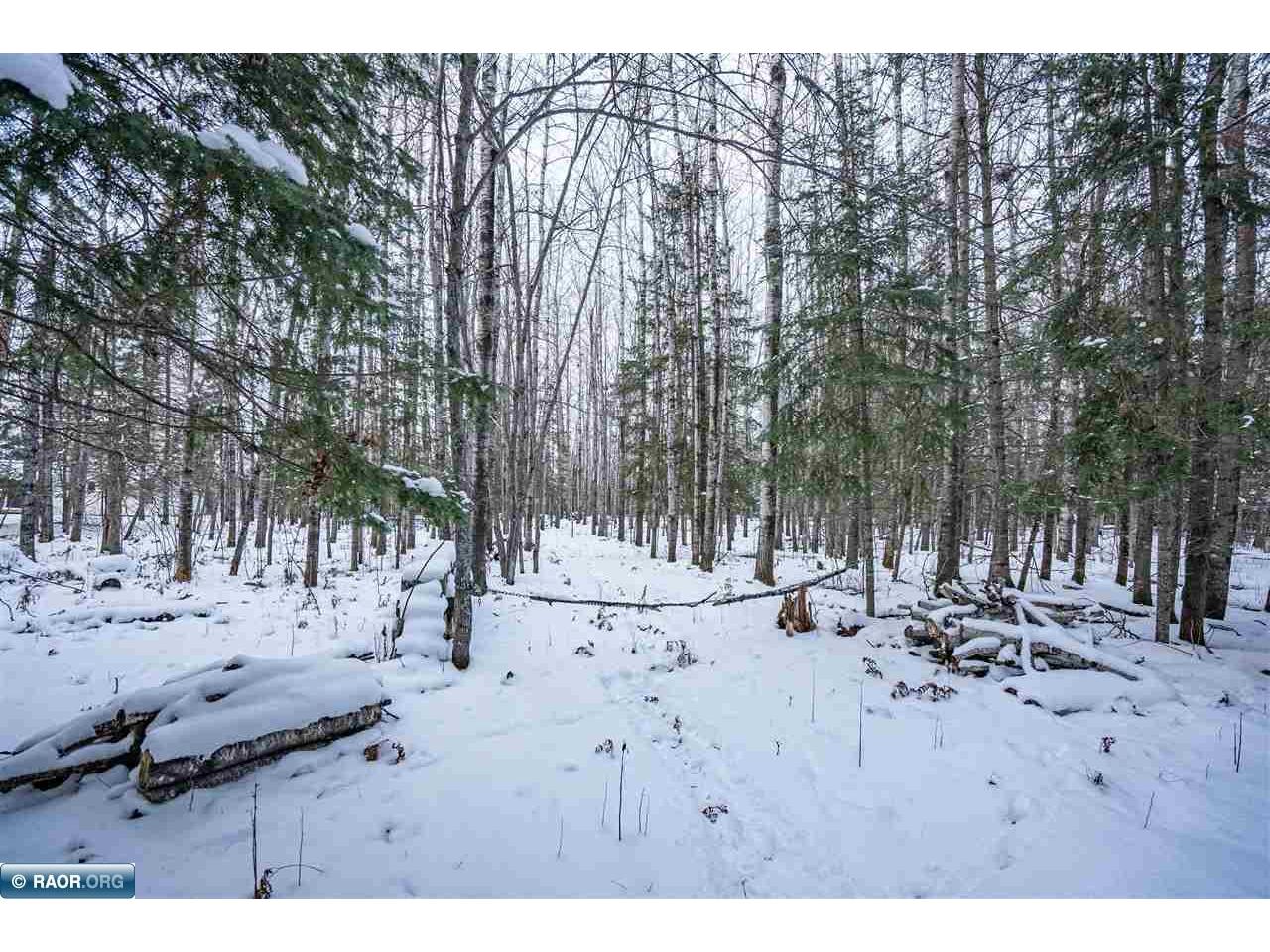 0000 Bass Lake Rd Gilbert MN 55741 - Bass Lake 149627 image24