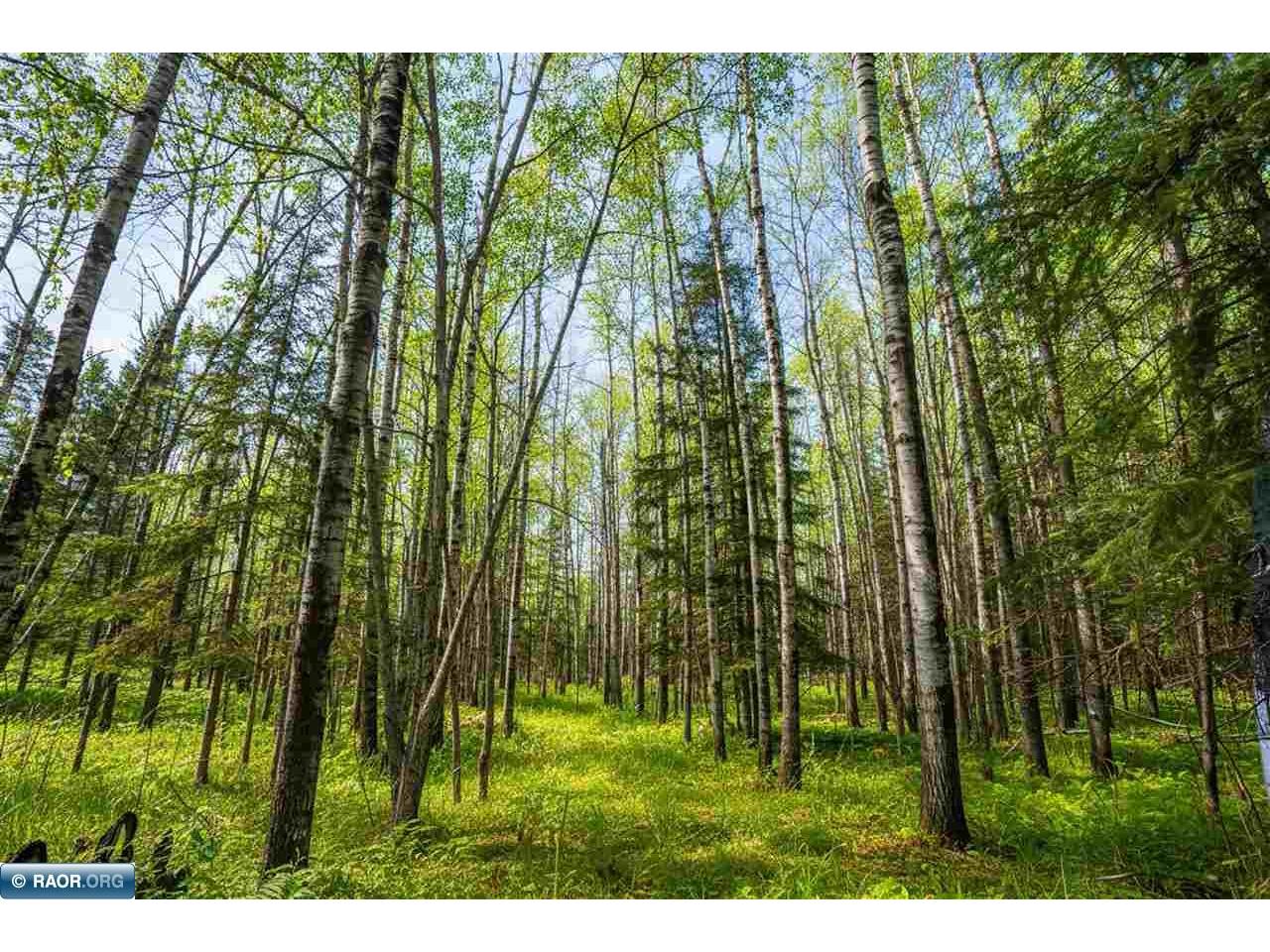 0000 Bass Lake Rd Gilbert MN 55741 - Bass Lake 149627 image26