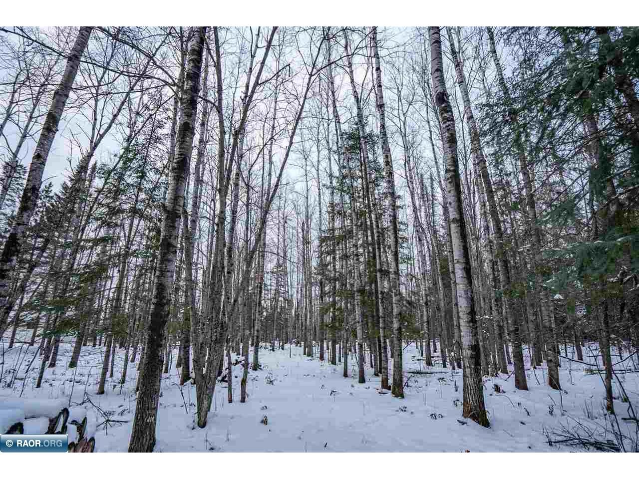 0000 Bass Lake Rd Gilbert MN 55741 - Bass Lake 149627 image27