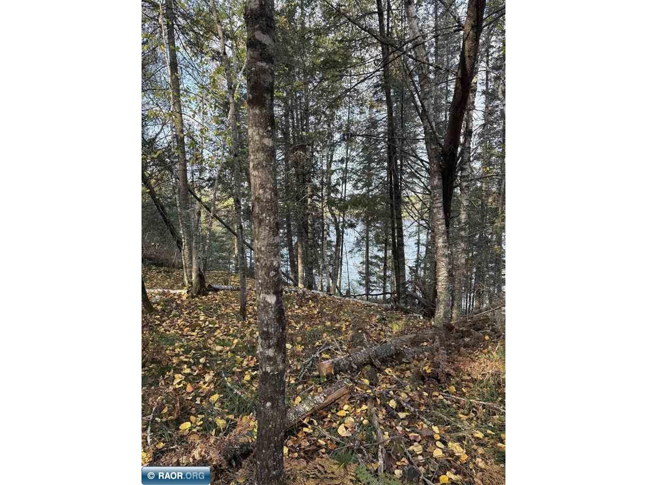 0000 Bass Lake Rd Gilbert MN 55741 - Bass Lake 149627 image32