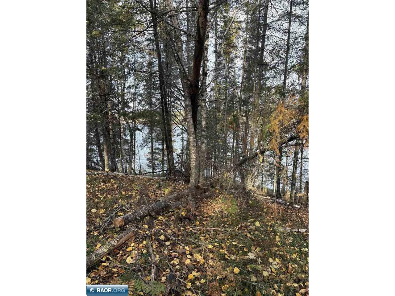 0000 Bass Lake Rd Gilbert MN 55741 - Bass Lake 149627 image33