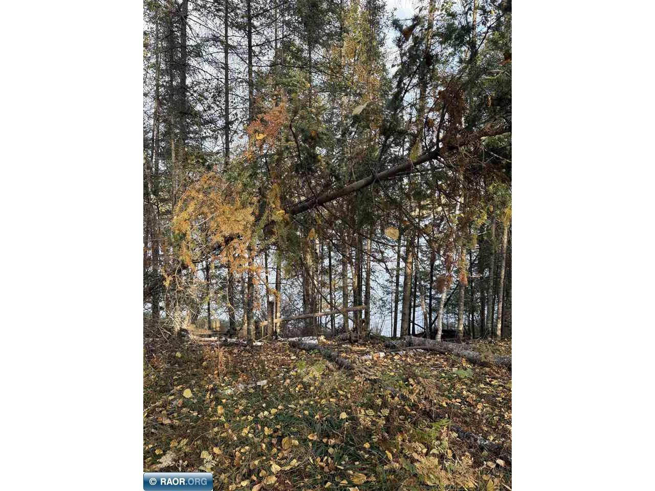 0000 Bass Lake Rd Gilbert MN 55741 - Bass Lake 149627 image34